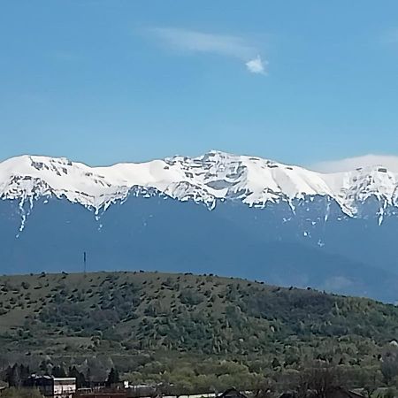 Apartmán Le Nid D'Adam Zărneşti Exteriér fotografie