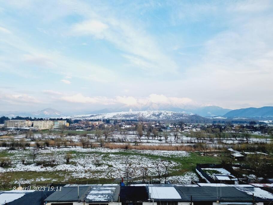 Apartmán Le Nid D'Adam Zărneşti Exteriér fotografie
