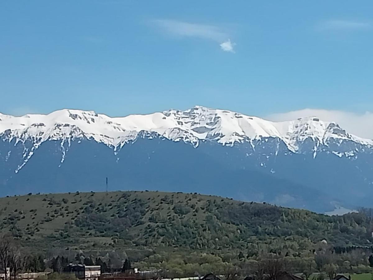 Apartmán Le Nid D'Adam Zărneşti Exteriér fotografie